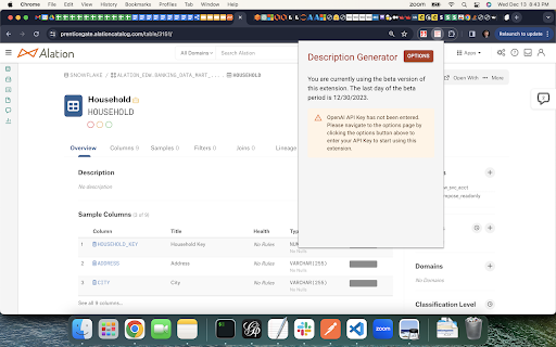 Alation ChatGPT Description Generator Extension - 谷歌插件