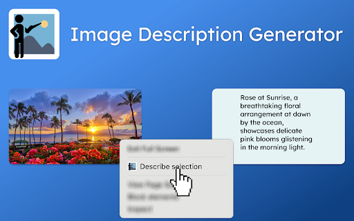 Image Description Generator - 谷歌插件