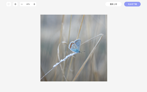 Online Image Watermark Remover - 谷歌插件