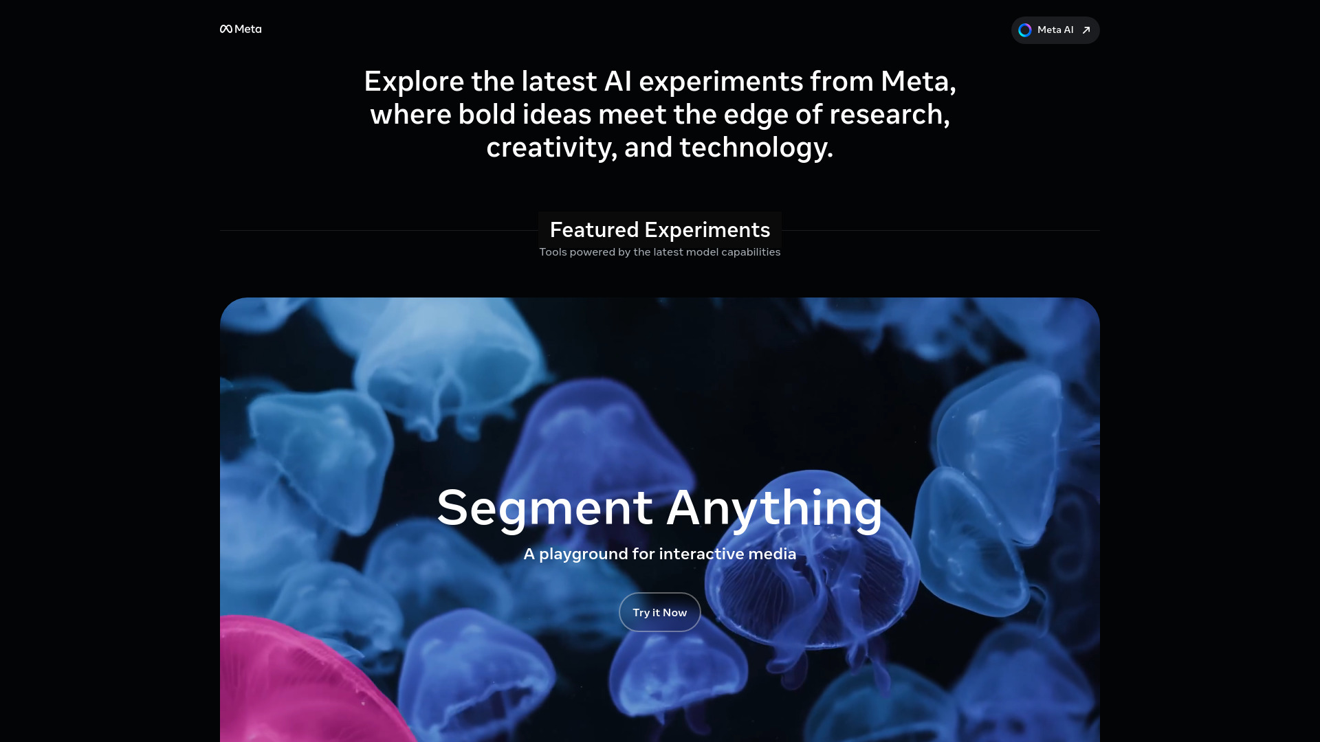 Meta AI Demos