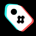 TikTok Video Tags & Summary Extension - 谷歌插件