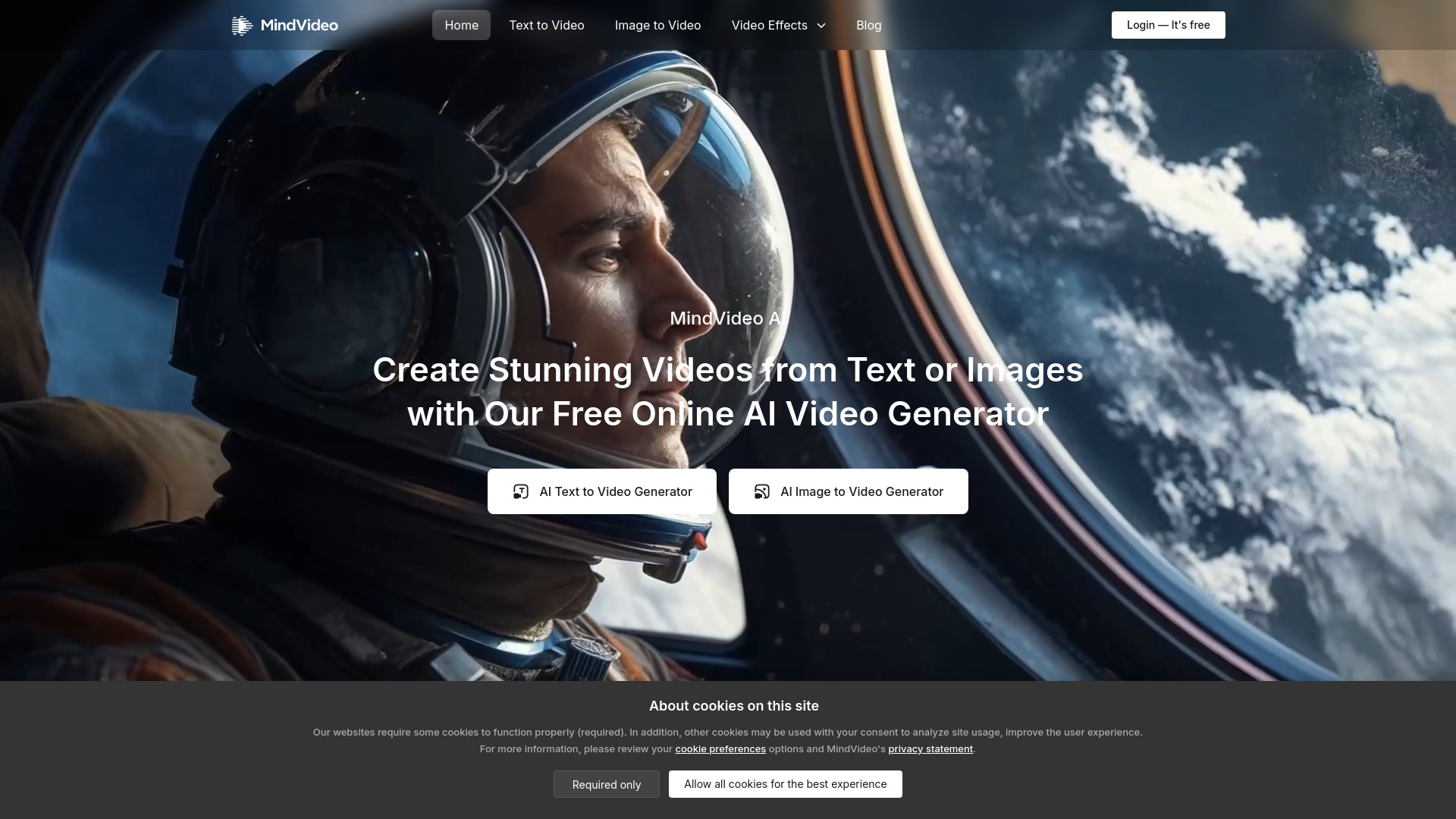 MindVideo AI