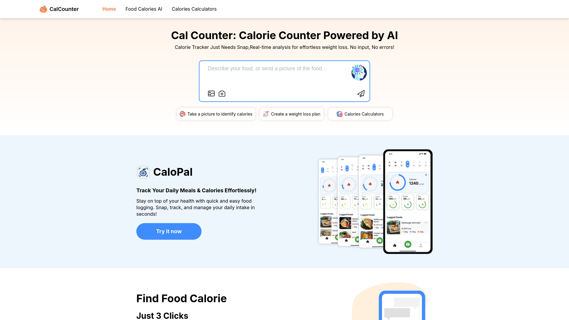 CalCounter