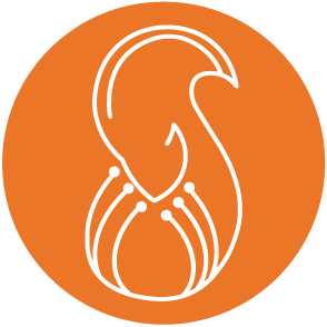 Squirai