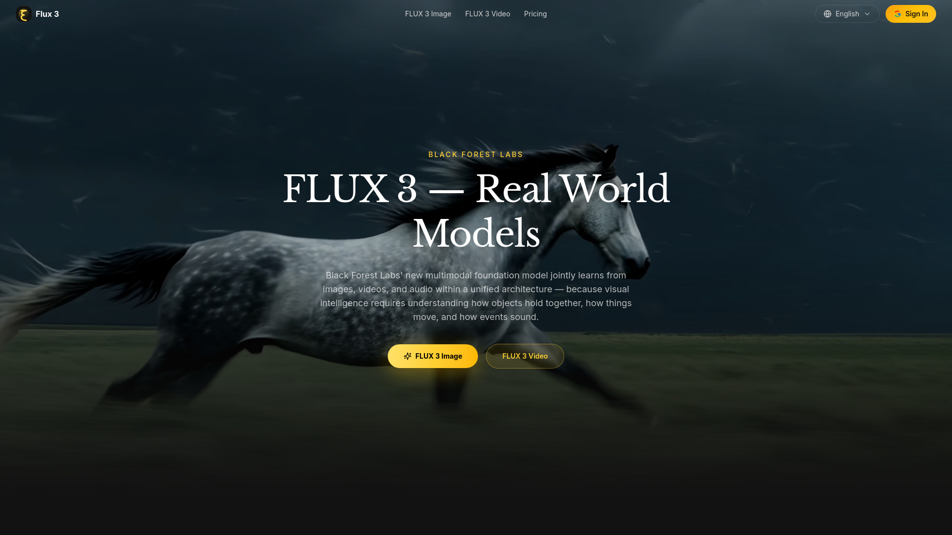 FLUX 3