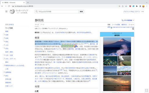 Simplified - 谷歌插件