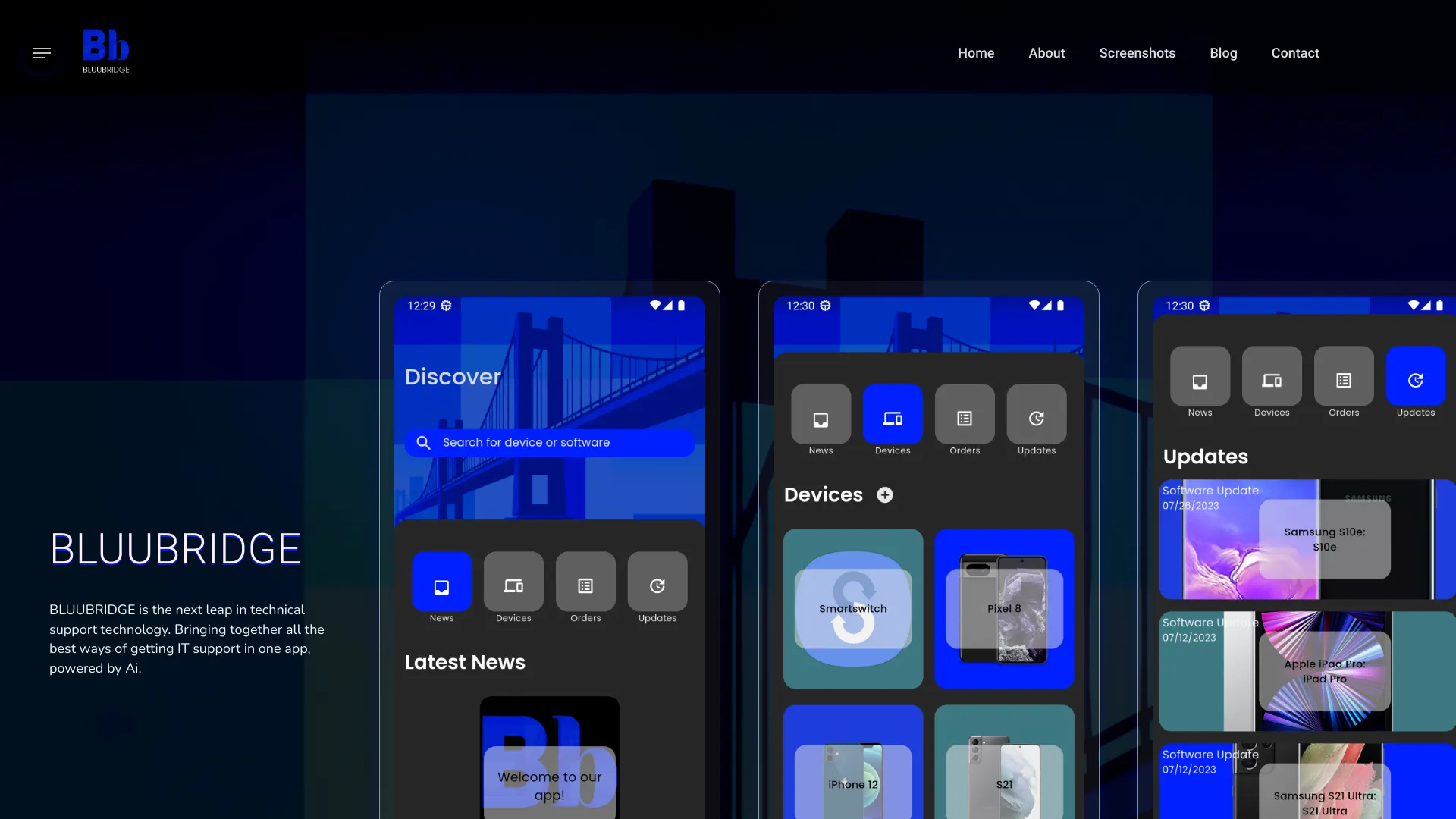 BLUUBRIDGE
