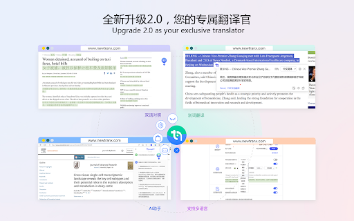 智译网页翻译插件 (NewTranx Browser Translator Plugin) - 谷歌插件