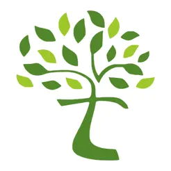 Network Tree