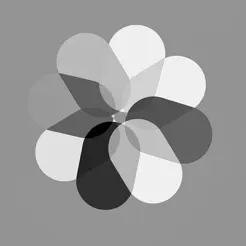 Snapsnob - Clean Your Gallery