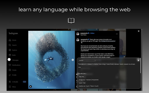 BrowserTranslate - 谷歌插件