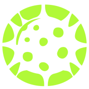 ParasiteSEO.com
