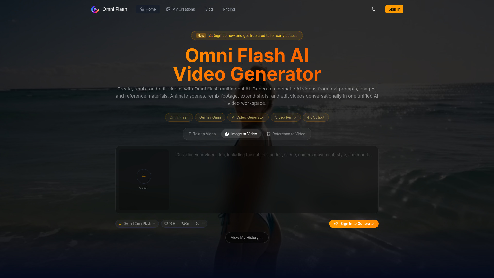 Omni Flash