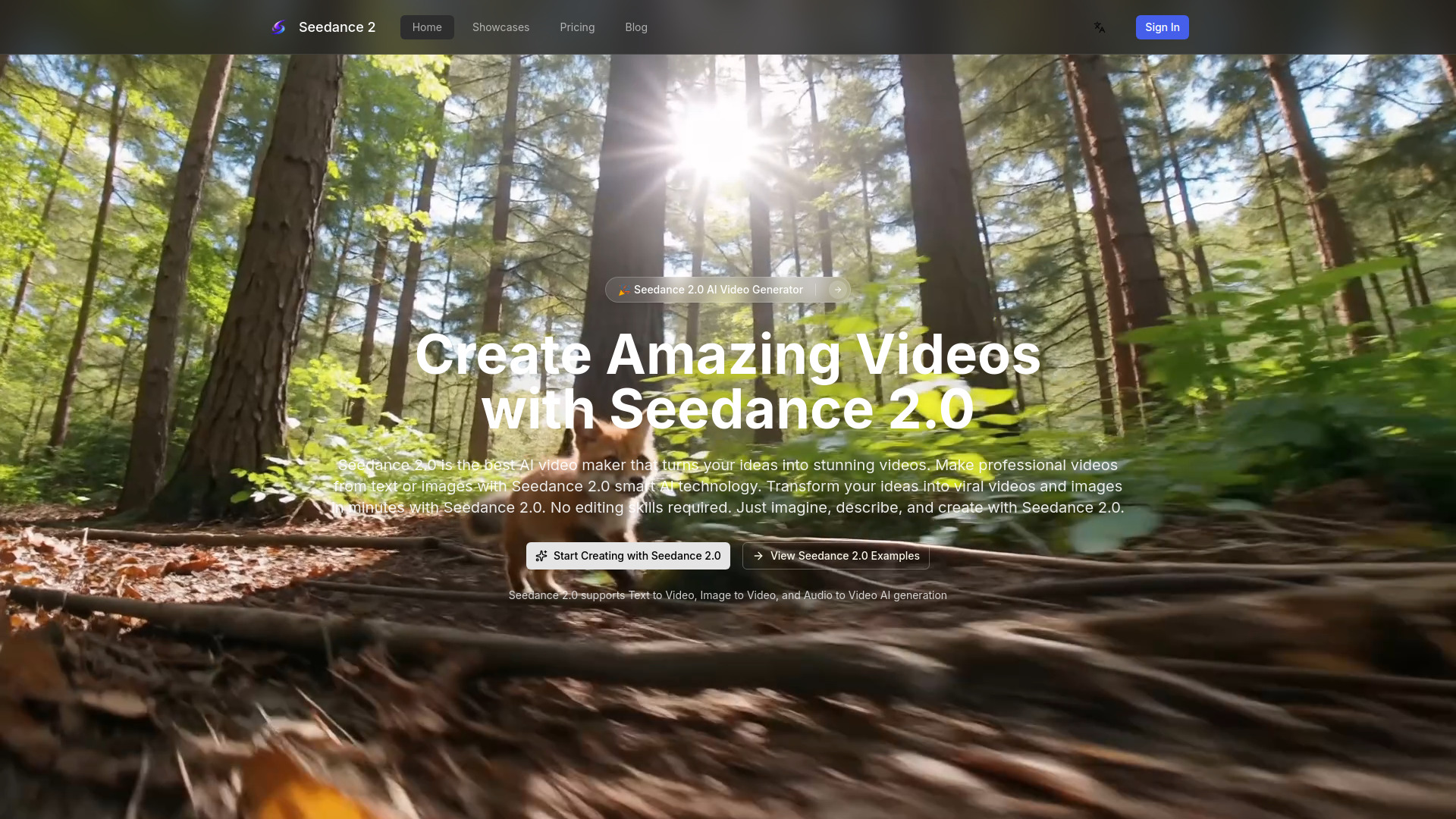 Seedance 2.0