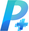 Prompt PP