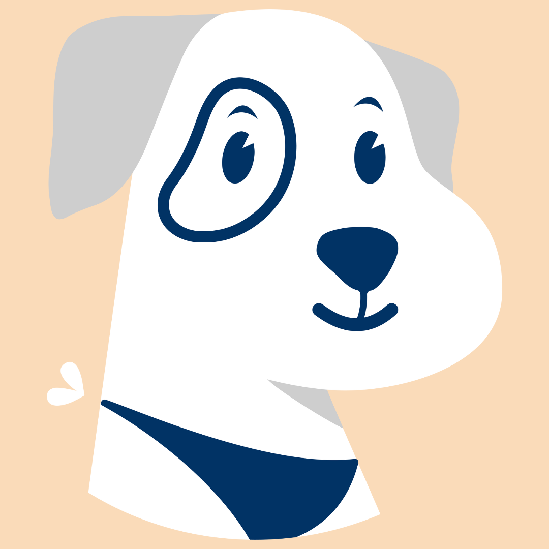 AskSpot