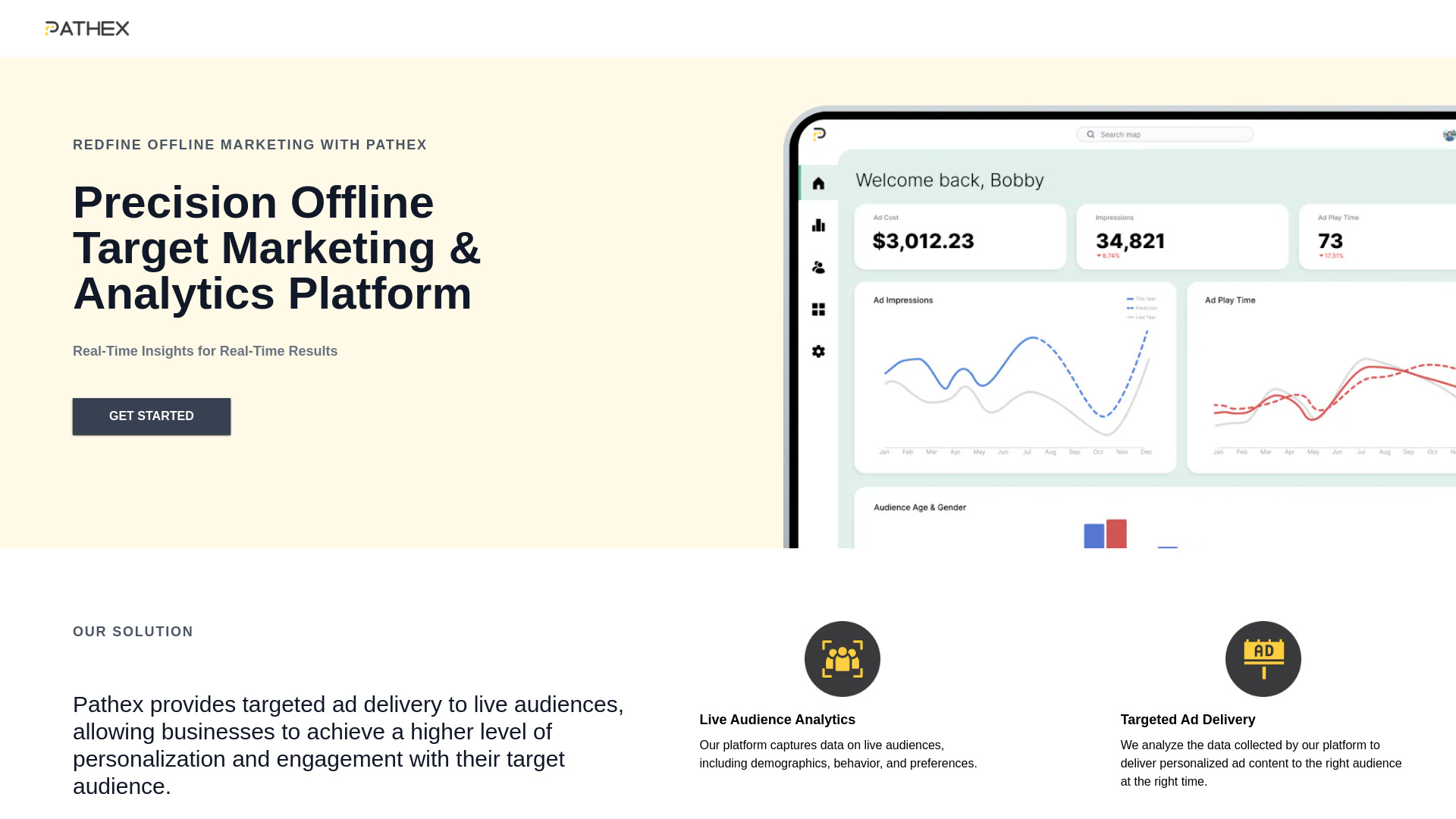 Audience Analytics & Ad Delivery
