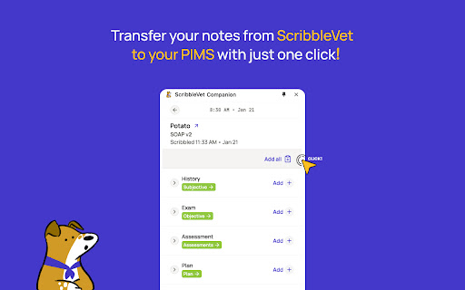 ScribbleVet Chrome Companion - 谷歌插件