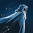 Cosmica AI Astrology & Tarot
