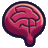 Zenquiz.app