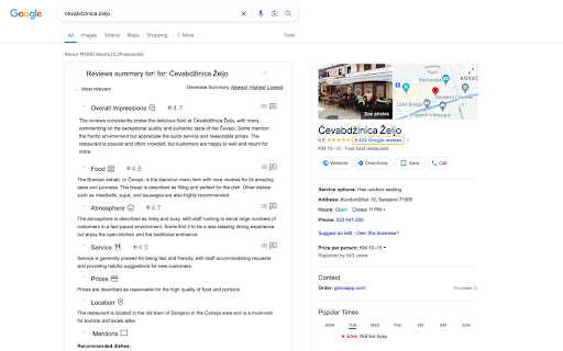 AI-Powered Google Reviews Summarizer - 谷歌插件