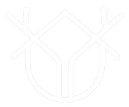 Runopt