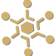 DynaRoute