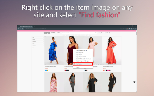 FindFashion - 谷歌插件