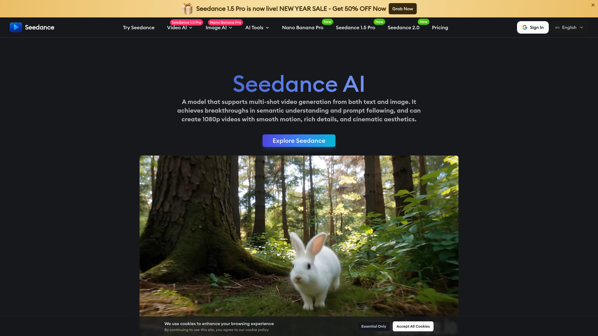 Seedance
