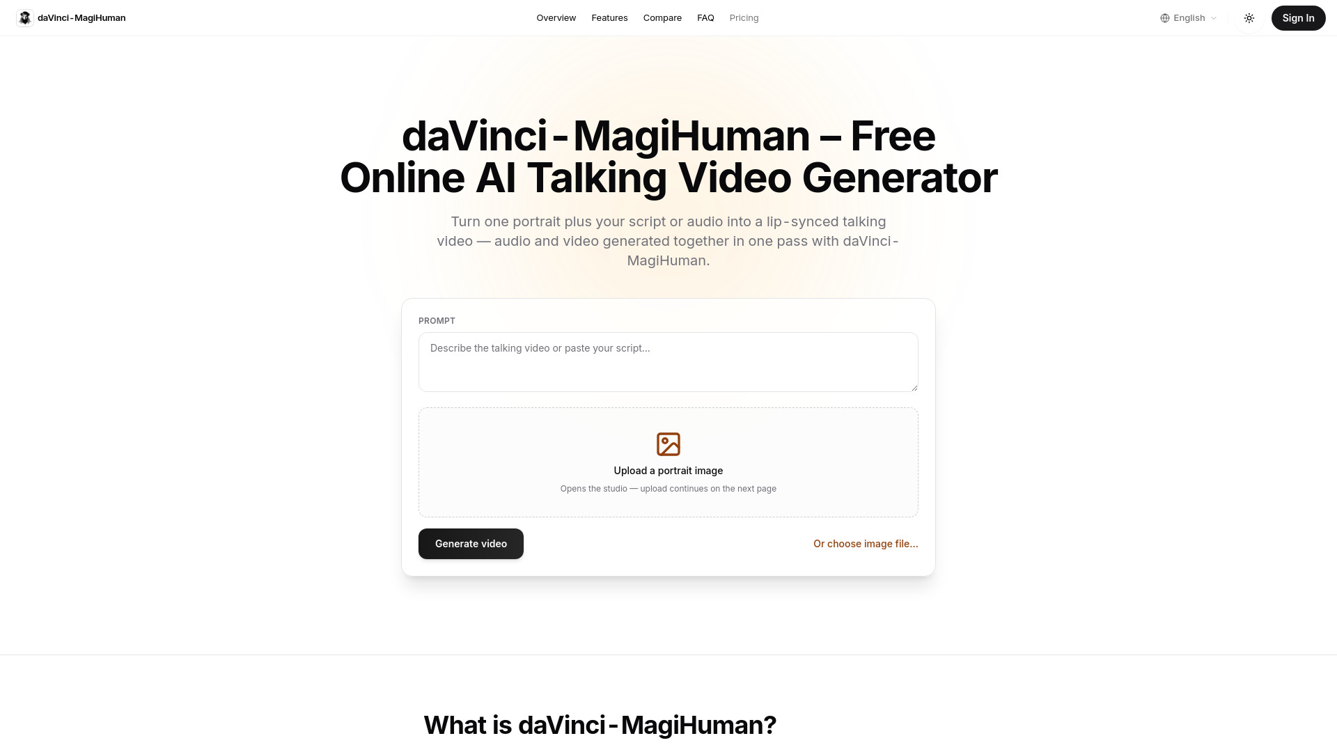 DaVinci MagiHuman