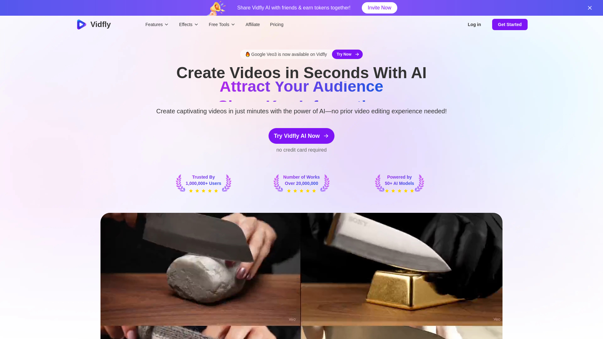 Vidfly