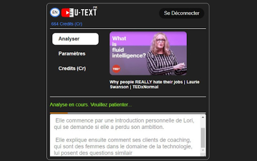 YouTube Video Summarizer - 谷歌插件