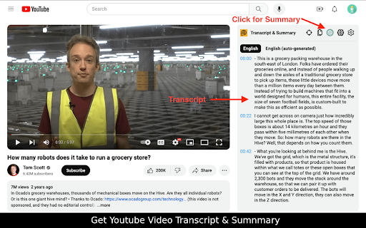 YouTube Summary - 谷歌插件