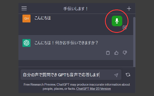 ChatGPT Voice Conversation Add-on - 谷歌插件