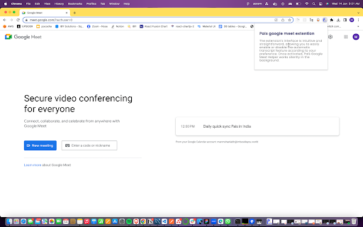 Pals Google Meet Helper - 谷歌插件