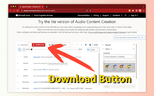 Microsoft Azure Audio Content Creation - 谷歌插件