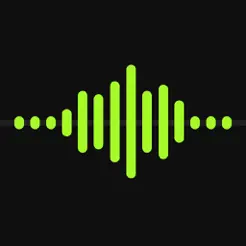 VoiceRec: AI Vocal Recorder
