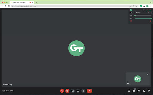 GT - 谷歌插件