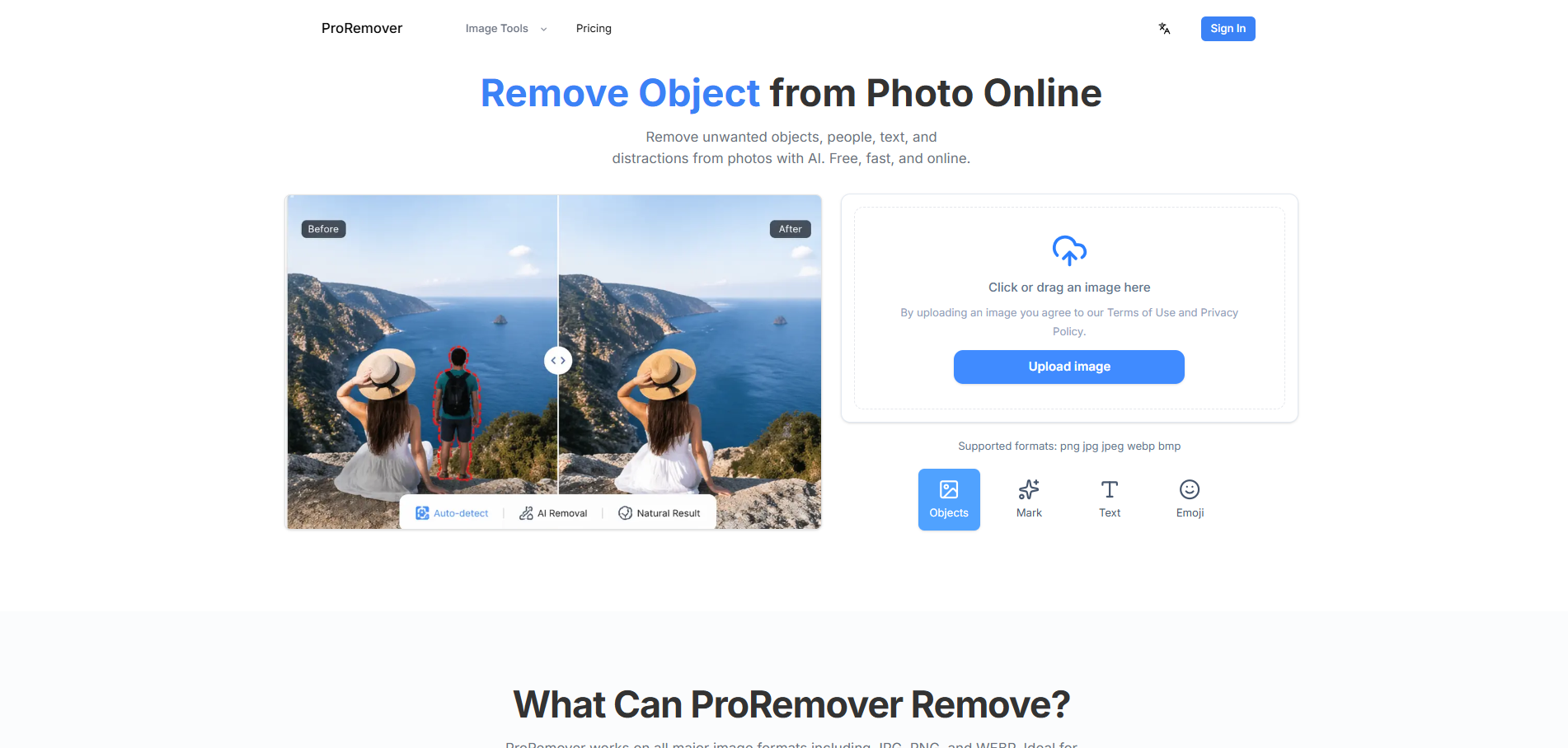 ProRemover