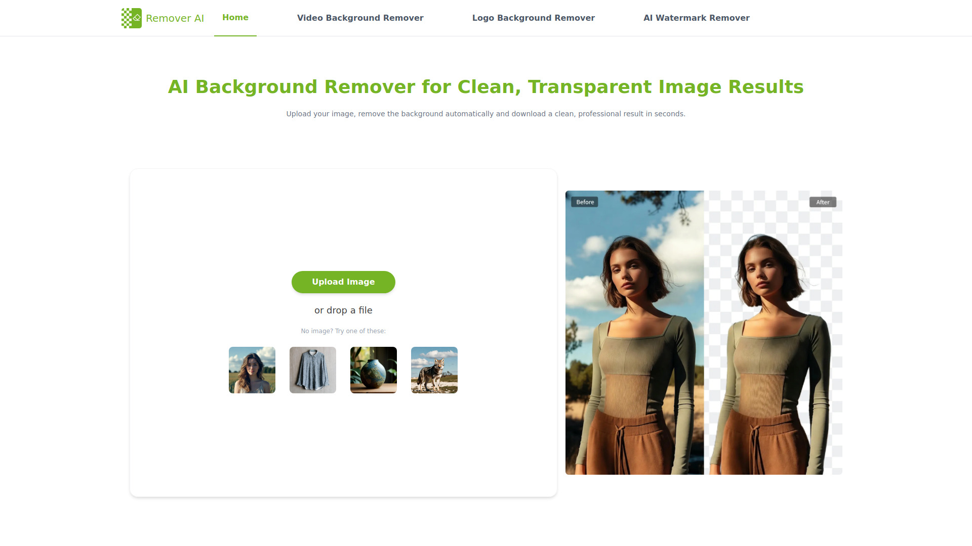 Free AI Background Remover - Remover AI
