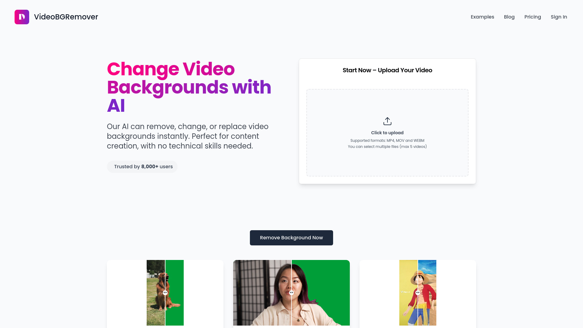 VideoBGRemover