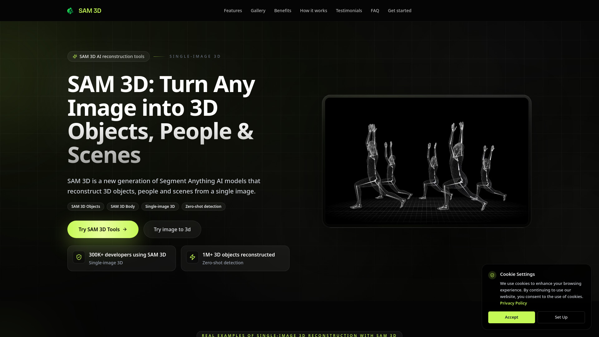 SAM 3D
