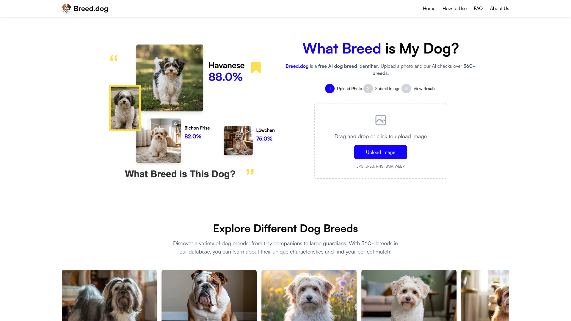 Breed.dog
