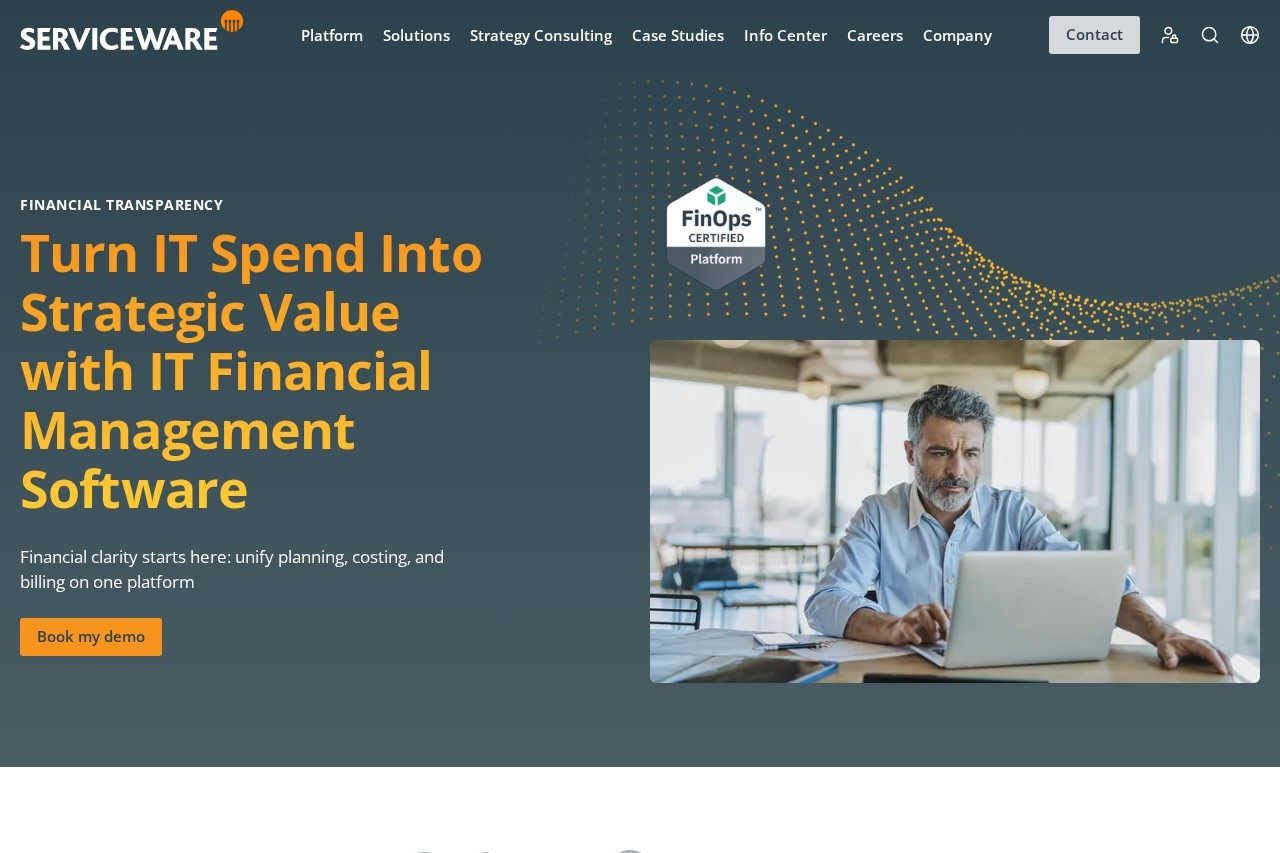 IT Financial Management